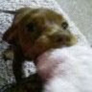 Meet your Posher, Jen